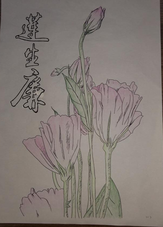 QQ图片20160701221616.png